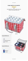 Panier de pique-nique pliable à motif à carreaux pour l'extérieur, avec film en aluminium, imperméable, portable, boîte isotherme 15L