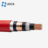 Cable de Alimentación Blindado con Aislamiento XLPE Estándar Europeo JOCA N2XSY NA2XSY para Distribución de Energía