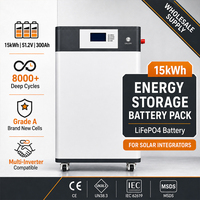Batterie LiFePO4 rechargeable 51,2 V 200 Ah 300 Ah 314 Ah 10 kWh 15 kWh 16 kWh pour stockage solaire domestique sur pied