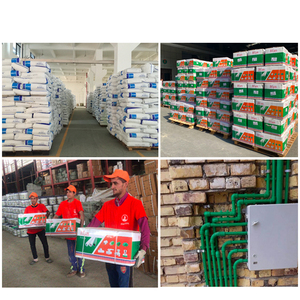 IFAN tùy chỉnh <span class=keywords><strong>PPR</strong></span> phụ kiện pn25 ống nhựa phụ kiện nữ <span class=keywords><strong>TEE</strong></span> chủ đề <span class=keywords><strong>PPR</strong></span> phụ kiện đường ống - Product Image 6