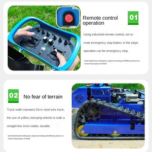 Benzin 4-Takt Ferngesteuerter Rasenmäher mit Automatischer Grasschnittfunktion 1000mm und Ferngesteuerter Unkrautentfernung - Product Image 3
