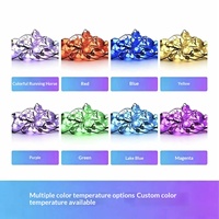 Guirlandes lumineuses décoratives de Noël intelligentes à LED à pixels changeants de couleur, étanches IP67, DC 24V, télécommandées, pour les avant-toits et les cours