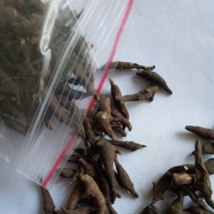 Erva chinesa natural <span class=keywords><strong>Anemone</strong></span> raddeana rizoma chinês medicinal Radde <span class=keywords><strong>Anemone</strong></span> Rhizoma para venda - Product Image 5