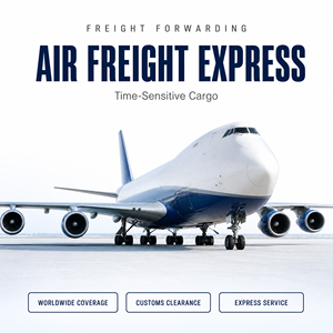 Agente de Transporte de AliExpress, Envío Aéreo/Marítimo a <span class=keywords><strong>Francia</strong></span>, Alemania, Italia, España, Reino Unido, Macedonia del Norte, Canadá, Estados Unidos, Sudáfrica, Logística - Product Image 1