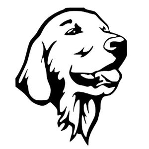 Nhà Sản Xuất Bán Hàng Trực Tiếp Bóng PVC Chuyển Tự Dính Vinyl Cho Khắc Máy <span class=keywords><strong>Plotter</strong></span> Áp phích Sáng Tạo Vật Liệu UV - Product Image 1