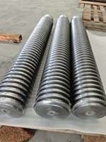Tiges de vis à billes usinées sur mesure par CNC, pièces industrielles de mouvement linéaire, traitement OEM