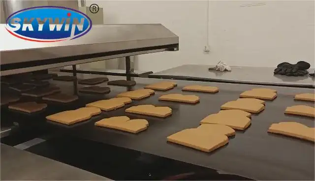 Новый продукт Cookie делая производственную линию