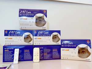 Micoplasma Haemofelis test rapidi clinica veterinaria medico diagnostica <span class=keywords><strong>malattia</strong></span> del gatto - Product Image 6