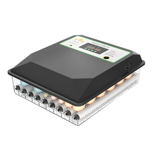 Incubadora de huevos automática/máquina para incubar huevos 220V 12V incubadora de huevos de energía solar hecha en Turquía - Product Image 1