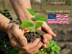 <span class=keywords><strong>Kit</strong></span> de Inicio para <span class=keywords><strong>Cultivo</strong></span> de Hierbas en Interiores - Set de <span class=keywords><strong>Cultivo</strong></span> de Bonsáis para Frutas y Flores, Ecológico y Personalizable para Uso Doméstico - Product Image 3