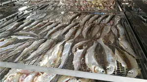 उद्देश्य गर्मी पंप ऊर्जा की बचत ट्रे प्रकार वाणिज्यिक औद्योगिक फल सब्जी निर्जलीकरण नूडल मछली ड्रायर मशीन