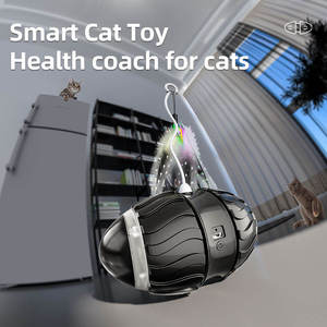 Nuevo diseño, juguetes de bolas para gatos ecológicos, multifunción, interactivo y de movimiento, suministros para mascotas, coche de equilibrio chirriante con hierba gatera - Product Image 3
