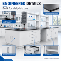 Meja Laboratorium Baja Kustom dengan Rak Reagen, Wastafel, dan Modul Daya untuk Proyek Laboratorium