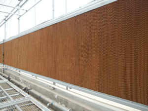 دفيئات نفقية زراعية متعددة الامتداد مستعملة دفيئات نفقية تجارية عالية - Product Image 6