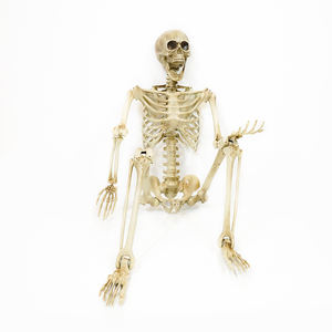 Décoration d'Halloween personnalisée Horreur Halloween Décorations <span class=keywords><strong>Squelette</strong></span> 12 pieds pour Maison Hantée Décor Maison Fête Cimetière - Product Image 2