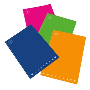 PIGNA - CARNET MAXI MONOCHROME 38 FEUILLES A4 LIGNES SPÉCIALES ASSORTIES - Product Image 1