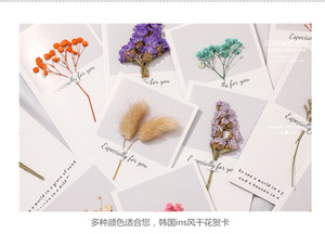 Biglietti d'<span class=keywords><strong>auguri</strong></span> con fiori di gipsofila pressati per inviti di nozze e regali artigianali per la sposa, biglietti con gipsofila essiccata - Product Image 6