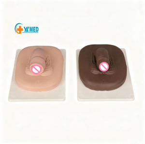 Enseñanza médica Sistema reproductivo masculino quirúrgico <span class=keywords><strong>Circuncisión</strong></span> Modo de <span class=keywords><strong>circuncisión</strong></span> Recursos didácticos - Product Image 1