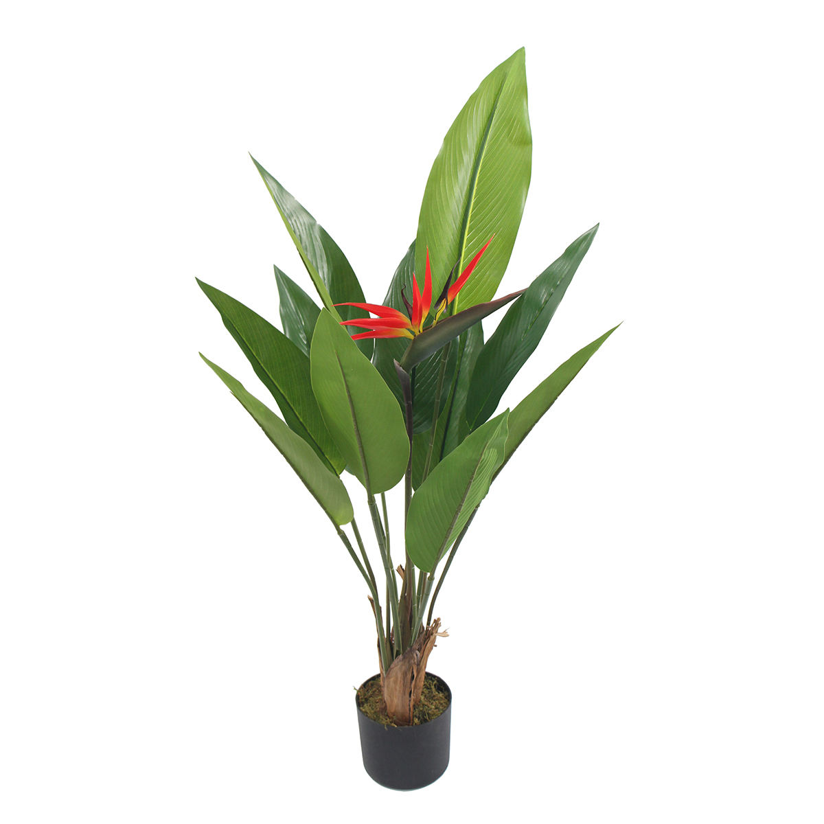 กองทัพสีเขียว