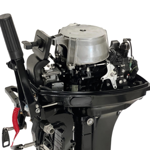 Moteur à essence 2 temps 20 CV T20 - Product Image 4