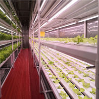 Ferme hydroponique verticale ORME pour la culture de la laitue commerciale dans un conteneur d'expédition de 40 pieds