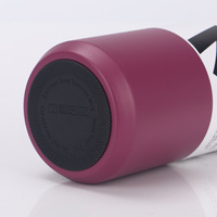 Bouteille d'eau portable isotherme sous vide à double paroi en acier inoxydable de 500 ml avec paille et couvercle anti-fuite pour le camping