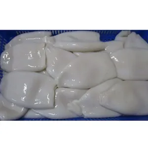 frozen illex argentina squid tube U5/U7/U10