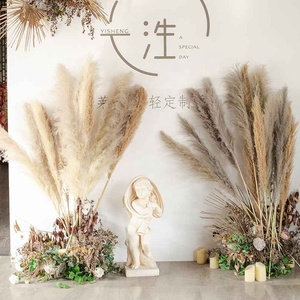 Promie Kích Thước Lớn 70-90Cm Khô Hoa Pampas Cỏ Tự Nhiên Trang Trí Nội Thất Cho Giáng Sinh Ngày Valentine Năm Mới Đám Cưới - Product Image 2