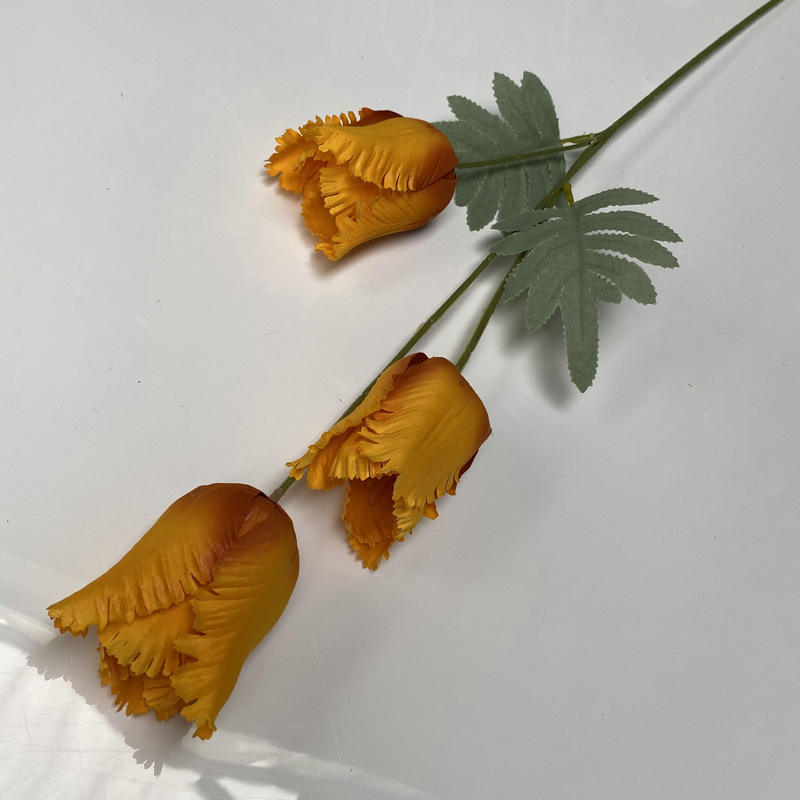 สีส้มแดง