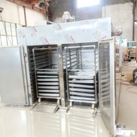 230V Eenfasige Industriële Champignondroger 100-500 Lbs Capaciteit 24-96 Trays Fruit & Groentedroger