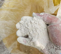 Acide aminé L-Valine de qualité alimentaire 98% pour additif alimentaire pour volailles et bétail