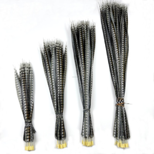 Nguyên Liệu Tự Nhiên Mô Hình Nhân Tạo Phụ Nữ Amherst Gà lôi Đuôi Lông Cho Đám Cưới Thủ Công Mỹ Nghệ Trang Phục Đảng Lễ Hội Trang Trí Sử Dụng - Product Image 1