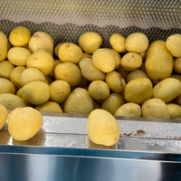 Gestroomlijnde, gebruiksvriendelijke groente- en fruitreinigings- en schilmachine met motor, 304 roestvrij staal, capaciteit 750 kg/uur voor centrale toepassing