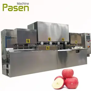 lemon slicing pear Apple Peeling Blade Slicing Cutting Machine