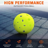İyi Esneklik Yüksek Geri Tepme 40 Delikli Enjeksiyon Kalıplı Pickleball 74mm TPE Top 12'li Paket İç Mekan Başlangıç Seviyesi Antrenman File Çantası