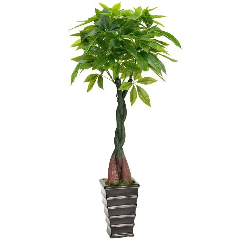 Real touch processo di incollaggio alto emanem-albero piante ornamentali tropicali ricchezza albero pianta artificiale