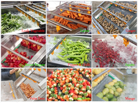 Machine à laver les légumes en continu, machine à laver et à nettoyer les concombres, les aubergines, les poivrons, les champignons, les carottes, les tomates