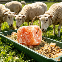 Blocs de sel minéral durable et durable en chlorure de sodium de qualité alimentaire pour animaux de ferme, vaches et moutons, à lécher