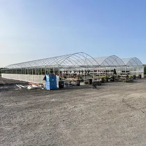 Gran invernadero de plástico multi-Span Flim túnel hortícola invernadero para plantas agrícolas