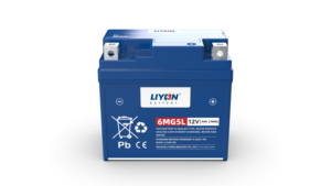 <span class=keywords><strong>Batterie</strong></span> de démarrage pour moto DENEL 6MF9A 12V 9Ah AGM sans entretien, scellée, au plomb-acide, neuve, garantie 1 an, noire - Product Image 4