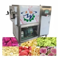 Groothandel Oplosbare Koffie Lagere Beste Vriesdroger Machine,Fruit Vriesdroger Fabrikant