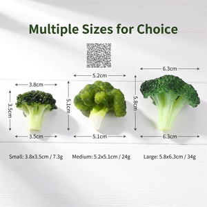 Material Didáctico para el Control de Porciones, Educación Nutricional, Método del Plato, Diabetes, <span class=keywords><strong>Dietista</strong></span>, Réplica de Alimento de Brócoli en PVC - Product Image 1