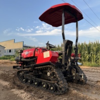 Getriebegetriebener 50-PS-Raupentraktor mit HUAYUAN LAIDONG Motor, Dreipunktanbau, Multifunktionale Trockenland-Landwirtschafts- und Kultivierungsmaschine