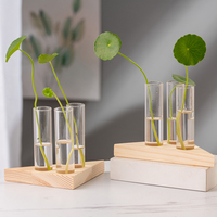 Vases en verre pour plantes hydroponiques en gros avec cadre en bois décoratif pour la décoration de bureau