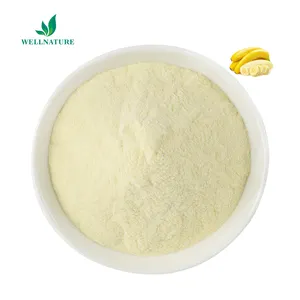 Poudre de banane biologique certifiée USDA et EU poudre fine brute bonne soluble dans l'eau pour les soins de santé/boisson sportive/boisson instantanée aux fruits