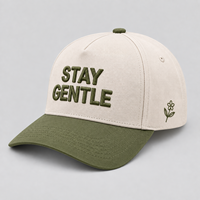 Casquettes de baseball en coton bicolore de haute qualité avec logo brodé 3D personnalisé, 100 % coton, respirantes, pour l'extérieur et décontractées