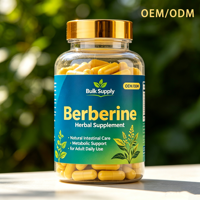 Capsules d'extrait de berbérine standardisées, soutien OEM à base de plantes pour la santé métabolique, intestinale et immunitaire