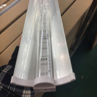 Tube lumineux LED de culture personnalisé Spectrum T20 480nm 660nm 730nm 80W à intensité variable avec réflecteur 4FT 80w pour la culture de fraises