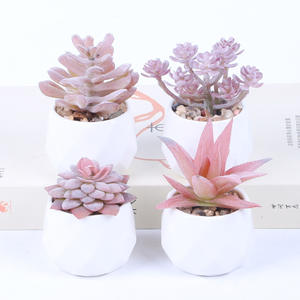 Nouvelle Décoration de Bureau en Plastique Réaliste : Jolies Jardinières Roses Artificielles pour Plantes Succulentes - Product Image 3