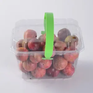 PET Transparent Plastic Fruit Container Clamshell Vegetable Packaging Display Candy Disposable Trays